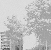 034 Group8 2014 thumbnail